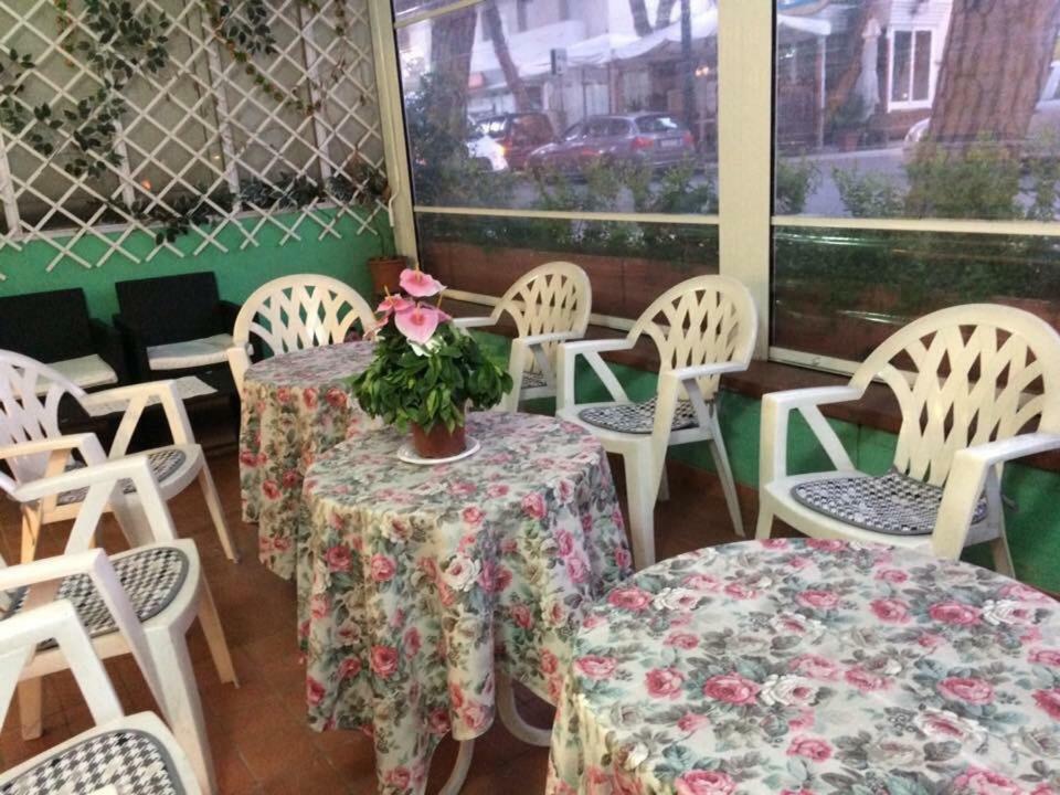 New Prophet Bed & Breakfast Cattolica Exterior photo